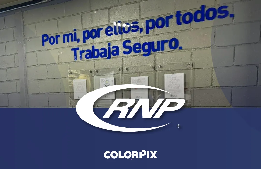 RNP Tableros industriales