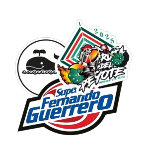 Planilla de stickers en papel adhesivo personalizados Colorpix Matehuala