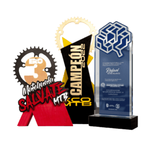 Trofeo deportivo personalizado con grabado laser por Colorpix Matehuala