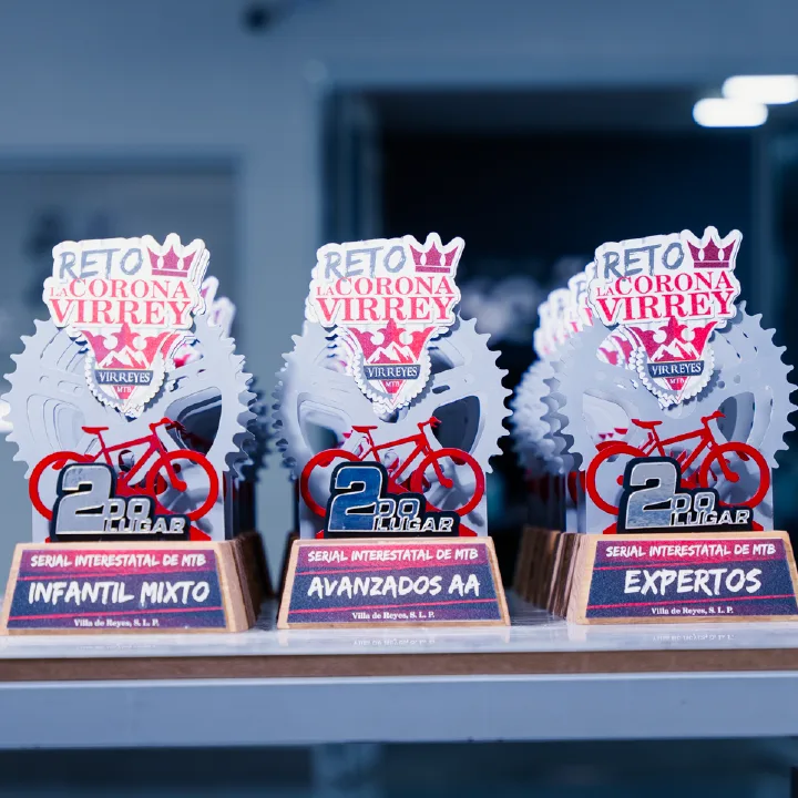 Trofeos deportivos personalizados - Image 6